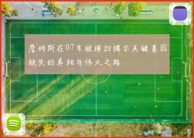 詹姆斯在07年被横扫揭示关键基因缺失的真相与伟大之路