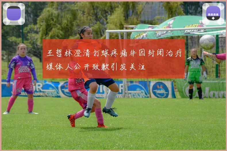 王哲林澄清打球疼痛非因封闭治疗媒体人公开致歉引发关注